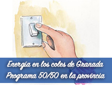 Energía en los coles
