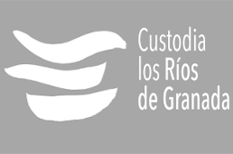 Custodia Rios