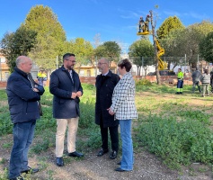 SE REFUERZA LA FORMACIÓN ESPECIALIZADA EN PODA DE ARBOLADO URBANO EN ALBOLOTE