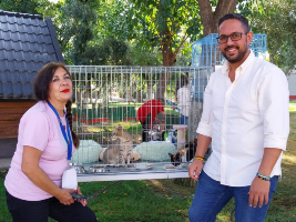 ENCONTRAR UN HOGAR PARA ANIMALES ABANDONADOS, OBJETIVO DE LA IV FERIA DE ADOPCIÓN IMPULSADA POR DIPUTACIÓN