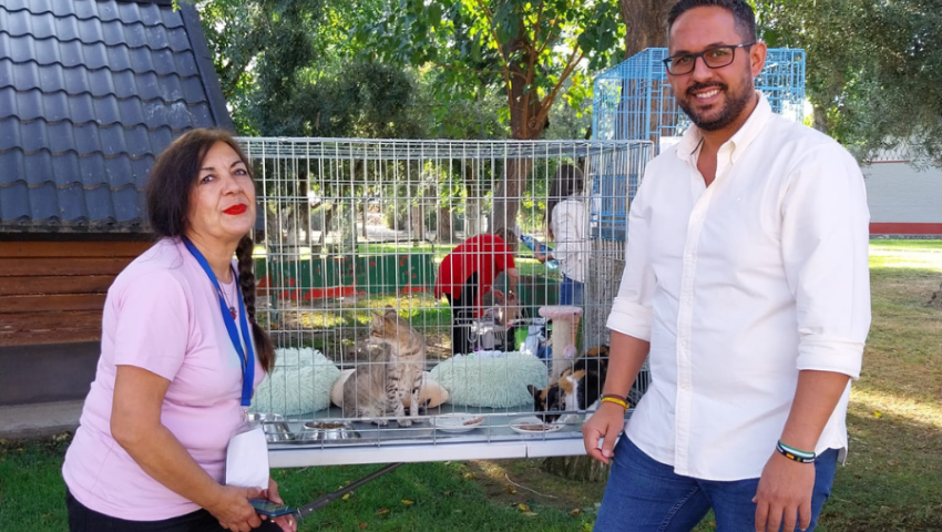 feria animal