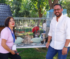 ENCONTRAR UN HOGAR PARA ANIMALES ABANDONADOS, OBJETIVO DE LA IV FERIA DE ADOPCIÓN IMPULSADA POR DIPUTACIÓN